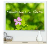 Mikrokosmos im Garten (hochwertiger Premium Wandkalender 2026 DIN A2 quer), Kunstdruck in Hochglanz: Eine faszinierende Entdeckungsreise in die Welt ... Garten oft erst auf den zweiten Blick zeigen