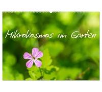 Mikrokosmos im Garten (Wandkalender 2026 DIN A2 quer), CALVENDO Monatskalender: Eine faszinierende Entdeckungsreise in die Welt feiner Strukturen, ... Garten oft erst auf den zweiten Blick zeigen