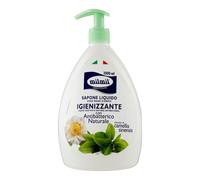 MIL MIL SAP LIQ IGIENIZZANTE 1 LT