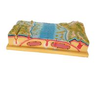 Milageto Materiale Didattico per La Scuola di Geologia - Kit di Visualizzazione del Modello di Tettonica a Placche 3D