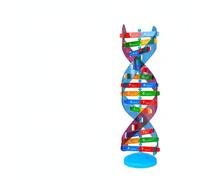 Milageto Modello Del Autoportante da Esposizione Modello Doppia Spirale con Base per Insegnanti, Studenti, Aula