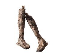 Milageto Prop Scheletro Stile Casa Stregata Decorazione Scheletro Realistico Effetto Scheletrico Frammenti Ossei Scheletrici Decorativi per Esposizione, Piedi Di Cadavere
