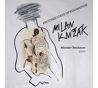 milan knizak-another state of stagnation