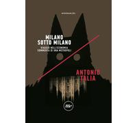 Milano sotto Milano. Viaggio nell'economia sommersa di una metrop