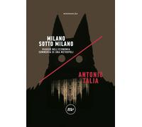 Milano sotto Milano. Viaggio nell'economia sommersa di una metropoli [Paperback]