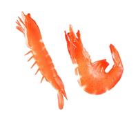 Milisten 2pezzi Gambero Finto in Pvc Riproduzione Cognitiva Di Gambero Educativo Per Ragazzo Ragazza Riproduzione Cognitiva Di Animali Decorazione Alimentare Realistica Facile Da Pulire Un
