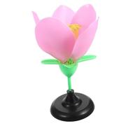 Milisten Anatomia Del Fiore Di Pesco in Pvc Resistente Per Insegnamento Della Biologia e Arredamento Casa, Struttura Floreale e Fogliare Educativa Per Ragazzo Ragazza