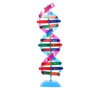 Milisten Kit Didattico Dna Doppia per Studenti Materiale Scientifico Educativo per Apprendimento Molecolare e Biologia Interattiva