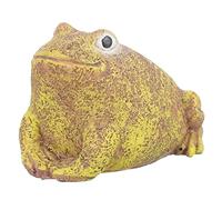 Milisten Ornamento Di Rana Scatola Chiave Piccolo Impostore Hider a Chiave Esterna Sicuro Nascondi Chiave Per Key Hider Rock Contenitori Chiave Falsa Titolo Chiave All'esterno Resina