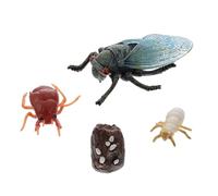Milisten Simulazione Della Cicala Di Evoluzione Della Cicala Modelli Del Ciclo Di Crescita Della Vita Giocattoli Educativi Per Ragazzo Ragazza Decorazioni Per Casa