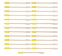 Milk di ape della penna per polpa di plastica Prendi strumenti di apicoltura 25pcs