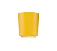 Milkhouse Candle Co. Earth & Ember Sugared Maple Candela Profumata 369 g - Candela Profumata