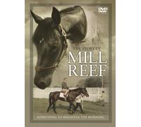 Mill Reef: Something to Brighten the Morning