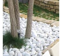 mille idee Ciottoli in marmo bianco carrara, sacca da 25kg, sassi con angoli arrotondati per decorazione ornamento giardino, pietre naturali per Vaso fiori, acquario, (Diametro 15-25 mm)