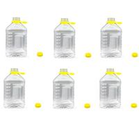 mille idee Dama PET in Plastica 3 Litri con Tappo a Vite - Contenitore Alimentare per Acqua, Vino, Olio, Succhi - Bottiglione Trasparente Robusto e Leggero (6)