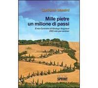 Mille pietre un milione di passi
