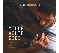 Mille volte Gigi. Ediz. a colori