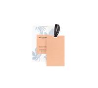 Millefiori Set 3 card profumate - Gemme d'agrumi Set 3 card profumate - Gemme d'agrumi