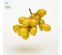 Miller, Evan - Beeswax Ephemera