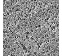 Millipore 044192 nylon filtro a membrana 0.45 µm, diametro 25 mm