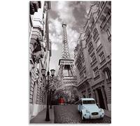 MIMIBC Quadro Su Tela 30 * 50cm Senza Cornice Noir et Blanc Paris Cavallini - Stampa erbario quadri per soggiorno camera da letto decoro