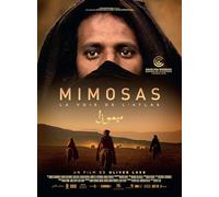 Mimosas : La voie de l'Atlas