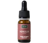 Solimè MIMULUS 10 ML