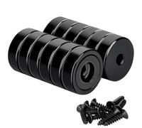 MIN CI 12 Magneti arrotondati al neodimio extra potenti - 16 mm - Neri - Con foro - Magneti a vite - 10 kg