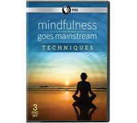 Mindfulness Goes Mainstream - Techniques DVD (DVD)