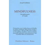 Mindfulness. Una guida pratica al risveglio