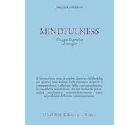 Mindfulness. Una guida pratica al risveglio