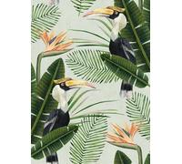 Mindthegap Carta da parati Birds of Paradise - WP20092