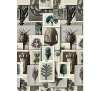 Mindthegap Carta da parati Blossfeldts Art Forms - WP20595