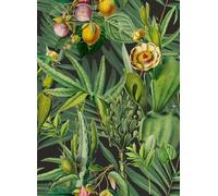 Mindthegap Carta da parati Luscious Flora - WP20518
