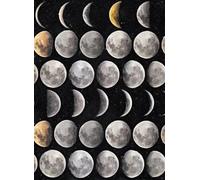 Mindthegap Carta da parati Moon Phases - WP20066