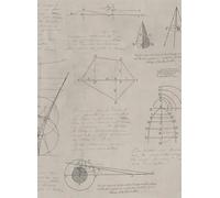 Mindthegap Carta da parati Newton Geometry - WP20047