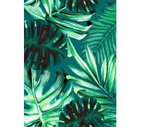 Mindthegap Carta da parati Rainforest - WP20108