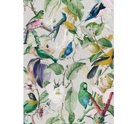 Mindthegap Carta da parati Tropical Birds - WP20172