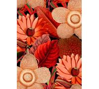 Mindthegap Carta da parati Water Lilies - Black/ Red