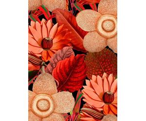 Mindthegap Carta da parati Water Lilies - Black/ Red