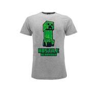 MINECRAFT HOSTILE BEHAVIOUR 12/13 grigia