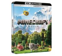 Minecraft, le film