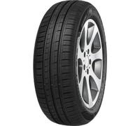 MINERVA 209 165/55 R15 75H TL