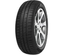 165/60 R14 75 H MINERVA - 209