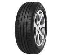 Minerva F 209 195/55R16 91V XL