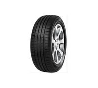 Minerva F 209 205/60R16 96V XL