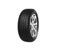 Minerva F209 205/65 R15 94 V