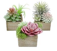 Mingfuxin Piante grasse artificiali, mini piante grasse finte verdi assortite in vaso, piccole piante grasse artificiali con legno in vaso, per casa, ufficio, soggiorno, tavolo, scrivania,