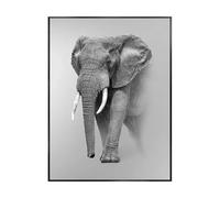 MINGYTN Casa Poster Decorativo Animale Leopardo Leone Elefante Panda Tigre Moderno Muro Tela Pittura Decorativa Soggiorno Decorazione Casa Senza Cornice(C,50x70cm)