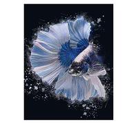 MINGYTN Casa Poster Decorativo Poster D'arte Douyu, Stampa Su Tela, Colore, Tendenza Moda, Arredamento Per La Casa, Villa, Decorazione Rurale(P,30x40cm)
